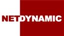 Net Dynamic Logo