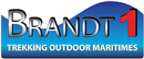 Logo Brandt 1