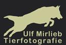 Ulf Mirlieb - Tierfotografie