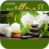 Wellness & Massagen