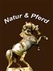 Martin Genders, Reiterhof Natur & Pferd